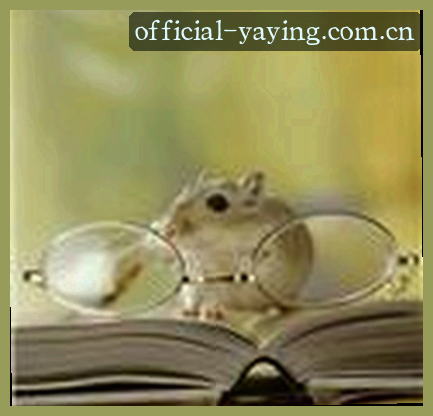陈阳